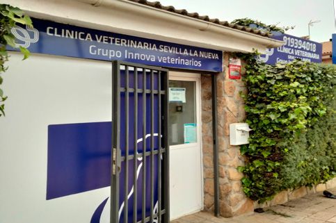 clínica veterinaria sevilla la nueva